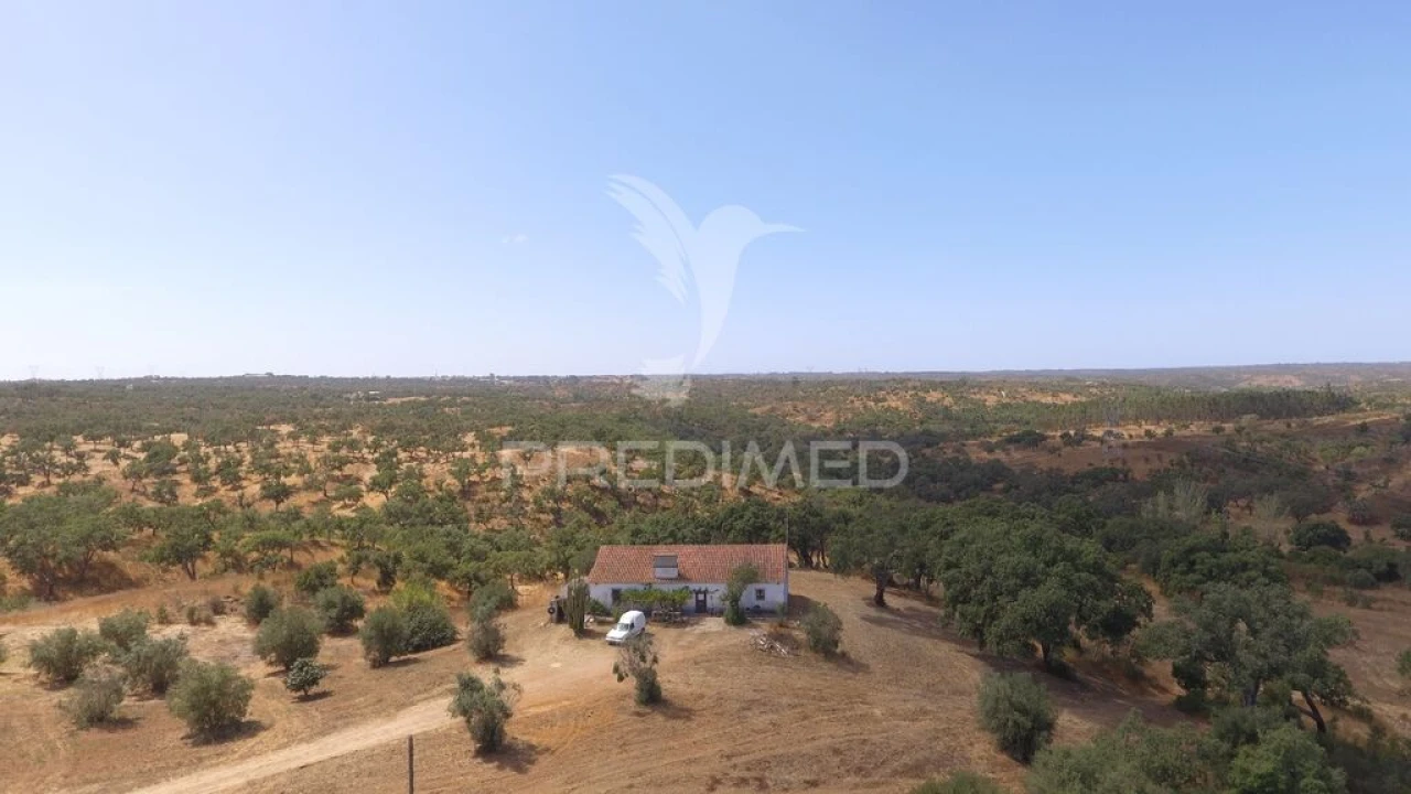 Quinta T3 para Venda em Abela Foto 4