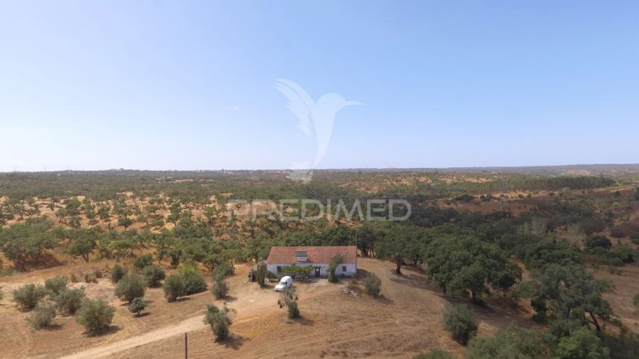 Quinta T3 para Venda em Abela Foto 4