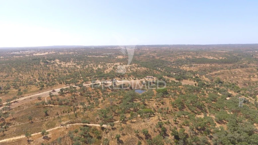 Quinta T3 para Venda em Abela