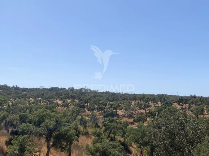 Quinta T3 para Venda em Abela Foto 14