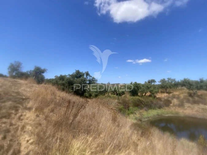 Quinta T3 para Venda em Abela Foto 7