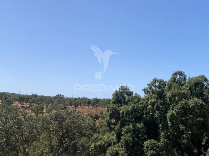 Quinta T3 para Venda em Abela Foto 15