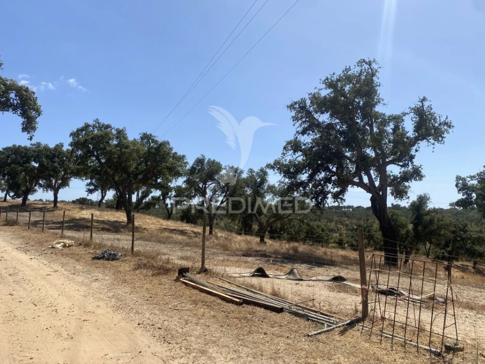 Quinta T3 para Venda em Abela Foto 10