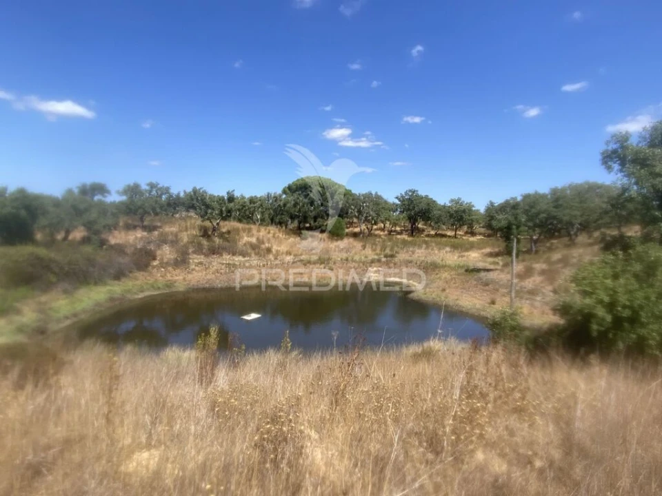 Quinta T3 para Venda em Abela Foto 6