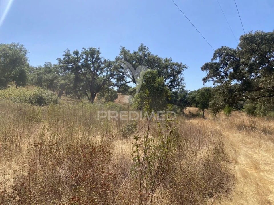 Quinta T3 para Venda em Abela Foto 18