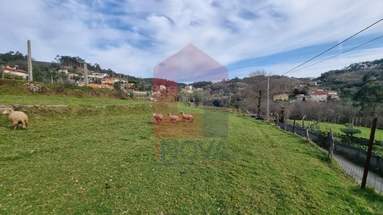 Terreno para Venda em Pico de Regalados, Gondiães e Mós Foto 19