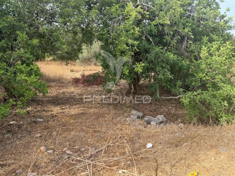 Terreno para Venda em São Brás de Alportel Foto 2