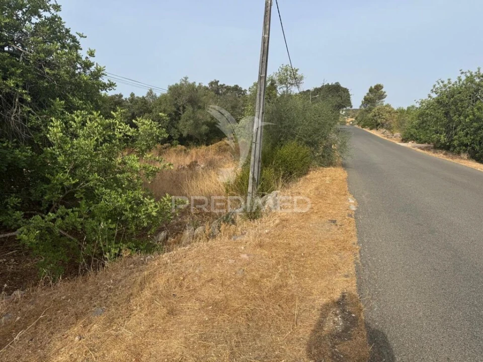 Terreno para Venda em São Brás de Alportel Foto 1