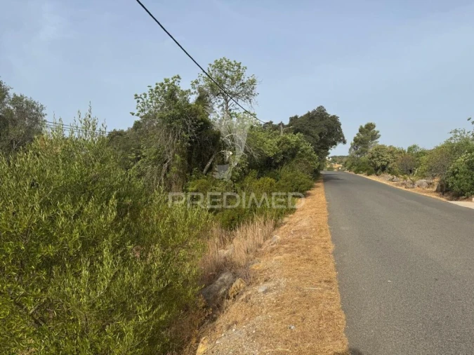 Terreno para Venda em São Brás de Alportel Foto 4
