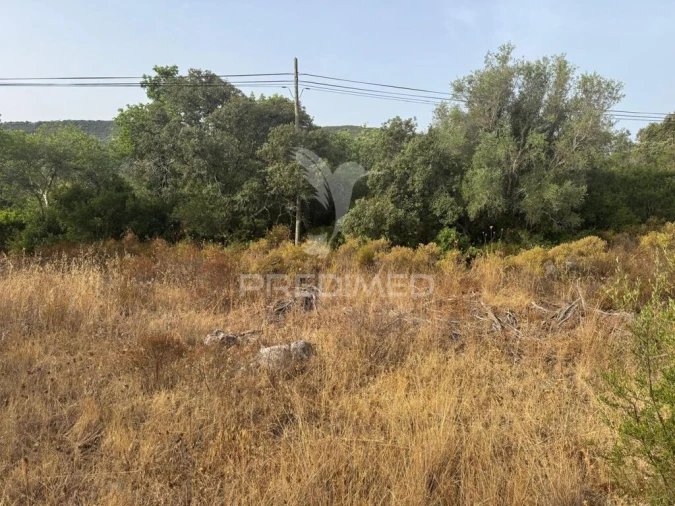 Terreno para Venda em São Brás de Alportel Foto 6