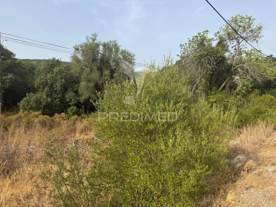Terreno para Venda em São Brás de Alportel Foto 3