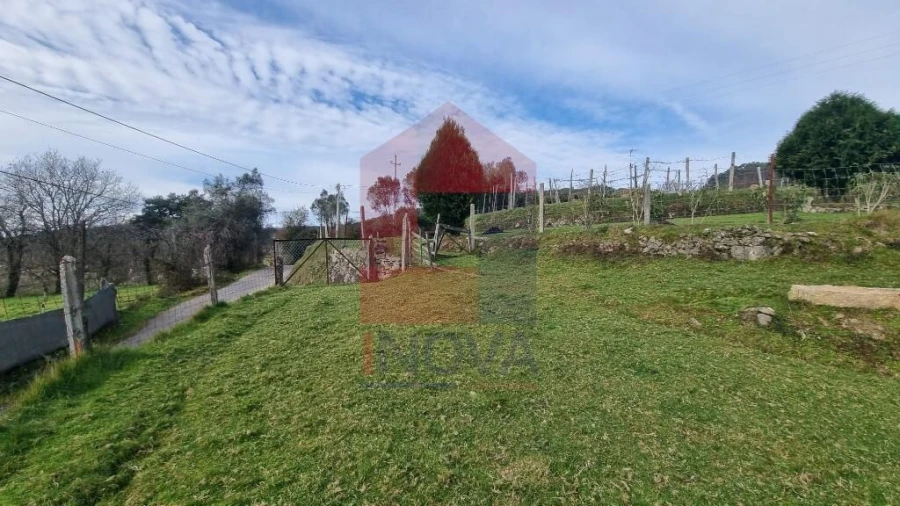 Terreno para Venda em Pico de Regalados, Gondiães e Mós Foto 3