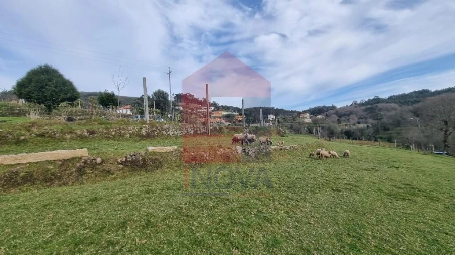 Terreno para Venda em Pico de Regalados, Gondiães e Mós Foto 2