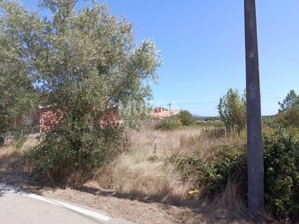 Terreno para Venda em São Lourenço do Bairro Foto 2