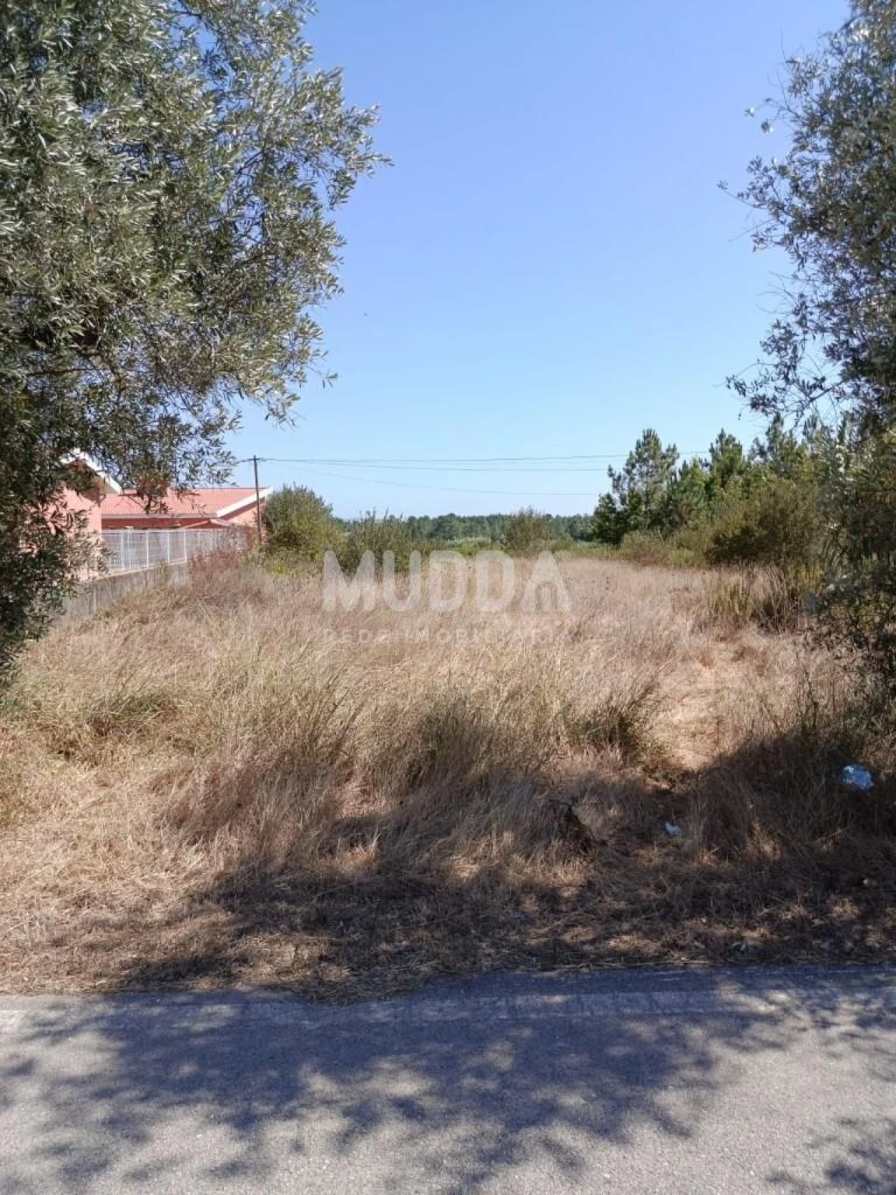 Terreno para Venda em São Lourenço do Bairro Foto 1