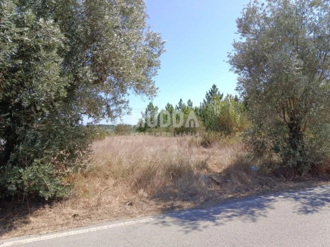 Terreno para Venda em São Lourenço do Bairro Foto 3