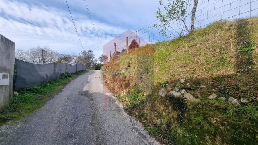 Terreno para Venda em Pico de Regalados, Gondiães e Mós Foto 27