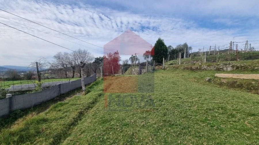 Terreno para Venda em Pico de Regalados, Gondiães e Mós Foto 4