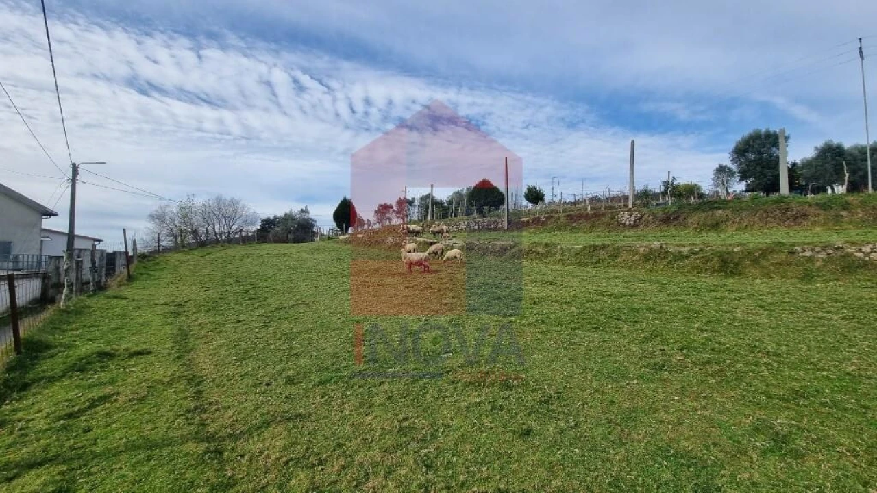 Terreno para Venda em Pico de Regalados, Gondiães e Mós Foto 15