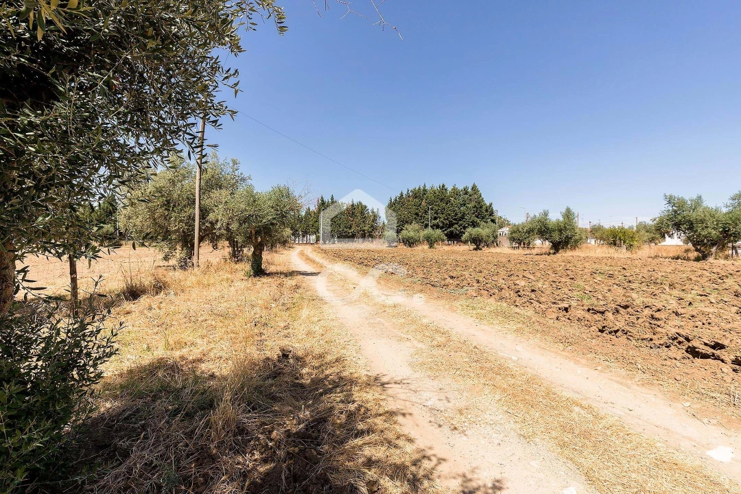 Quinta T4 para Venda em Malagueira e Horta das Figueiras Foto 35