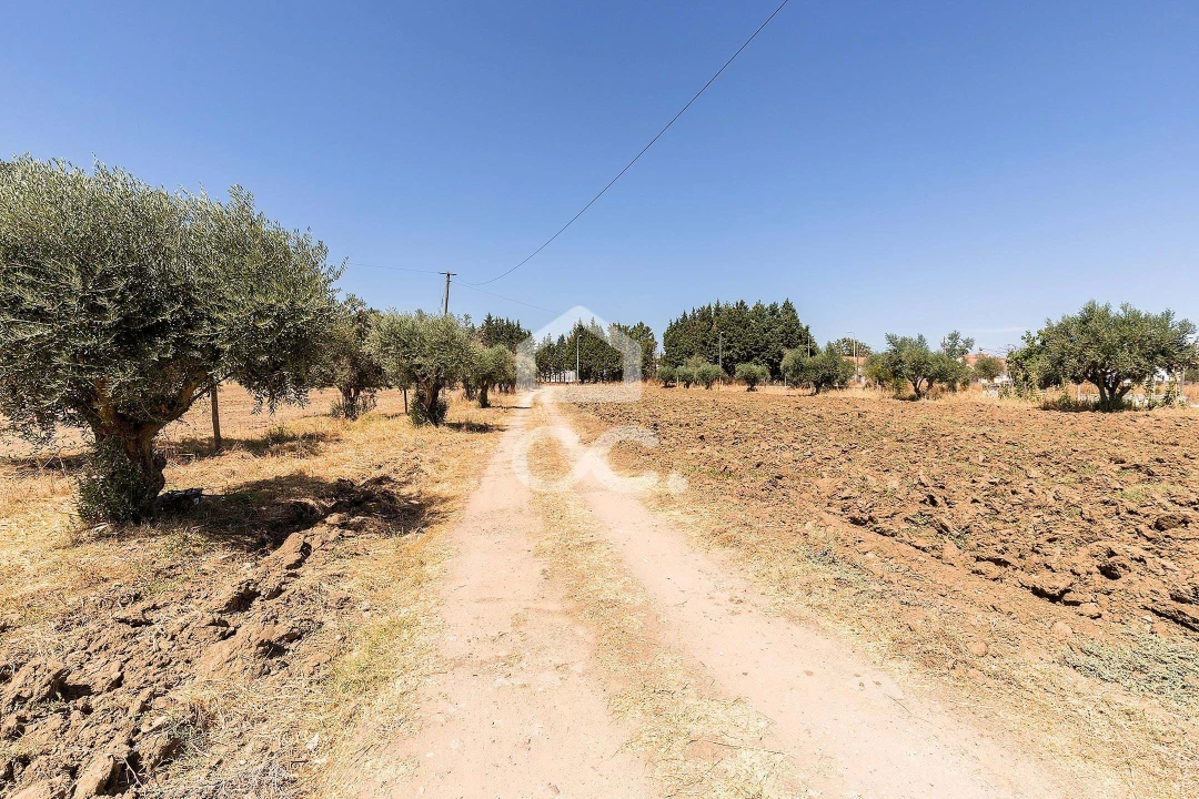 Quinta T4 para Venda em Malagueira e Horta das Figueiras Foto 34