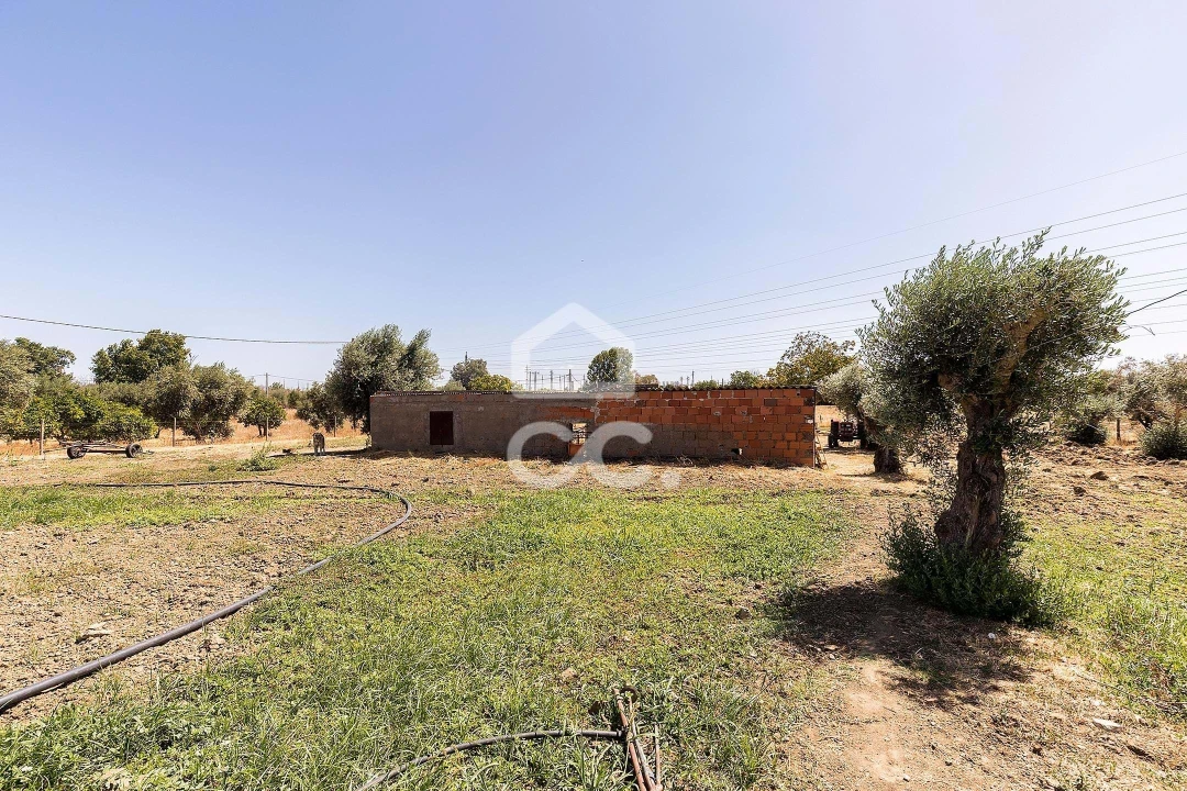 Quinta T4 para Venda em Malagueira e Horta das Figueiras Foto 45