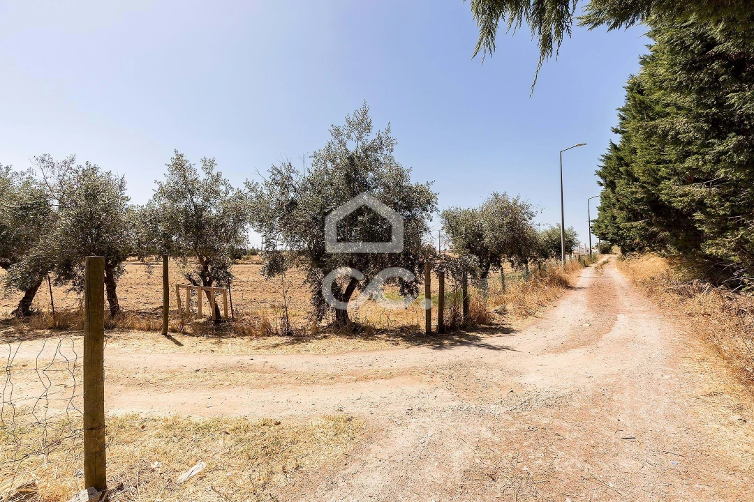 Quinta T4 para Venda em Malagueira e Horta das Figueiras Foto 25