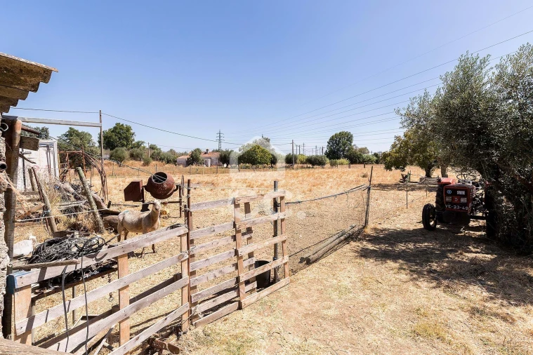 Quinta T4 para Venda em Malagueira e Horta das Figueiras Foto 47