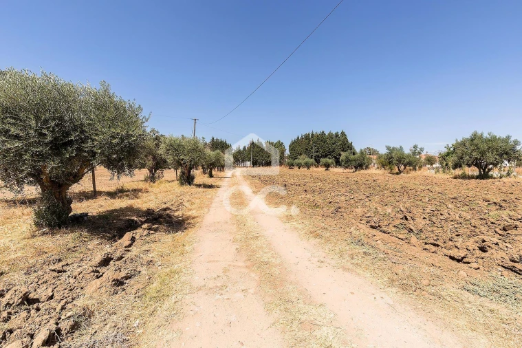 Quinta T4 para Venda em Malagueira e Horta das Figueiras Foto 34