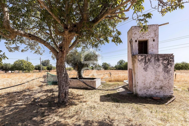 Quinta T4 para Venda em Malagueira e Horta das Figueiras Foto 43