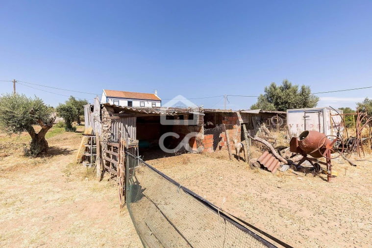 Quinta T4 para Venda em Malagueira e Horta das Figueiras Foto 46