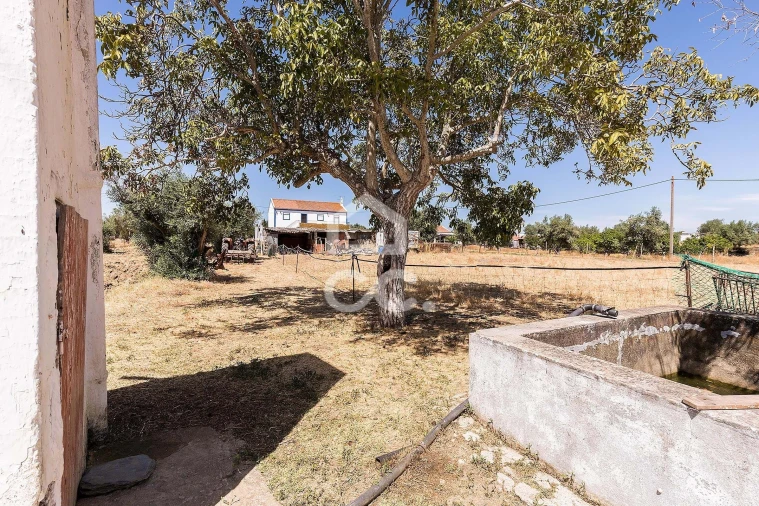 Quinta T4 para Venda em Malagueira e Horta das Figueiras Foto 44