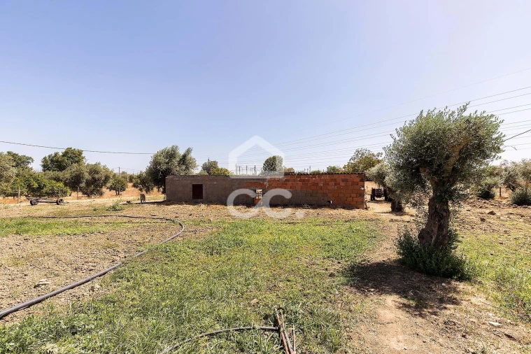 Quinta T4 para Venda em Malagueira e Horta das Figueiras Foto 45