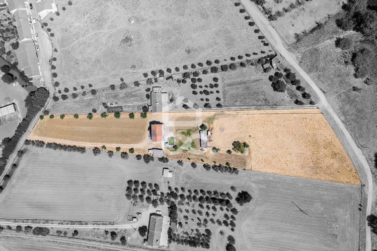 Quinta T4 para Venda em Malagueira e Horta das Figueiras Foto 2