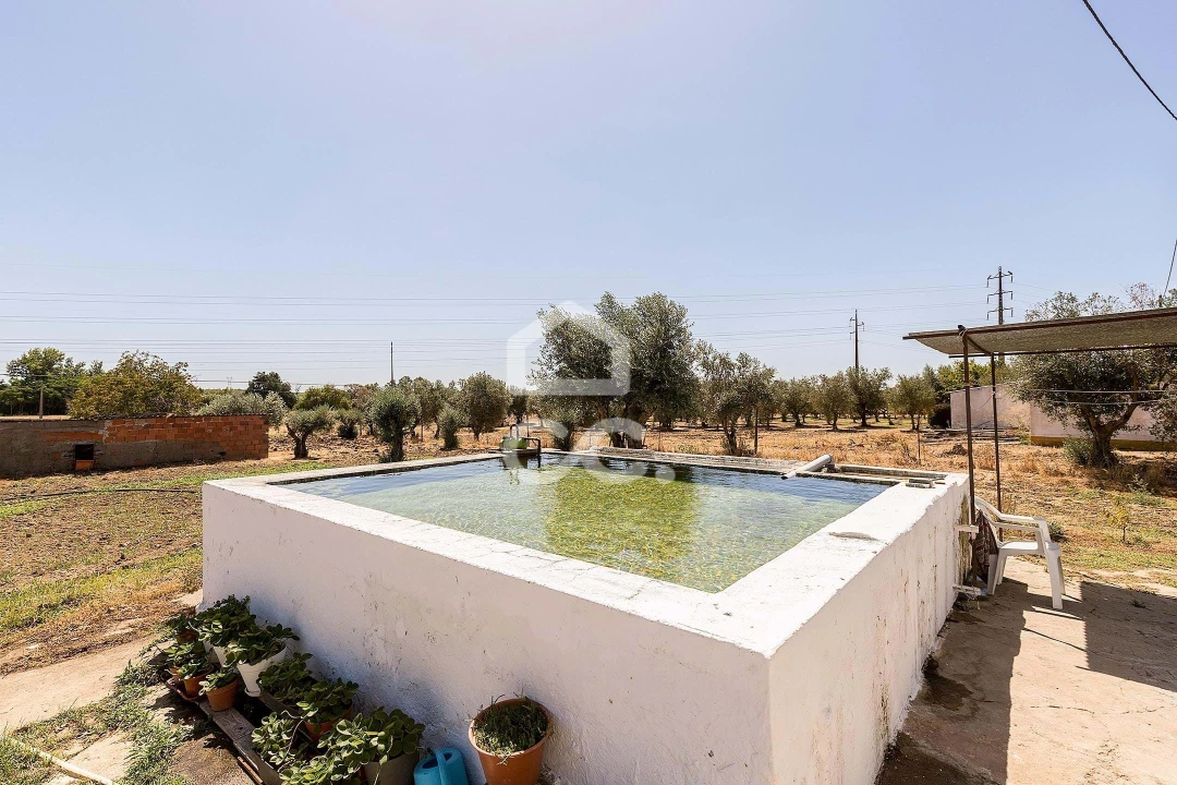 Quinta T4 para Venda em Malagueira e Horta das Figueiras Foto 28