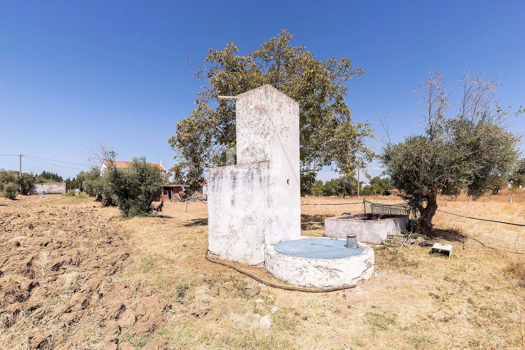 Quinta T4 para Venda em Malagueira e Horta das Figueiras Foto 24