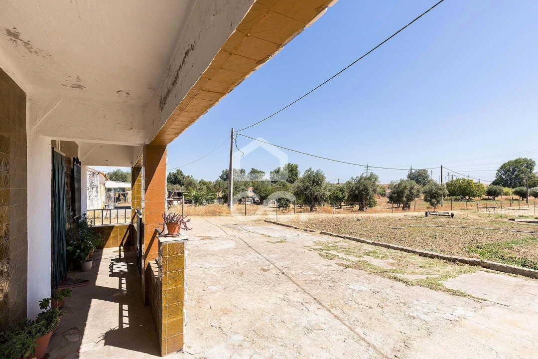 Quinta T4 para Venda em Malagueira e Horta das Figueiras Foto 39