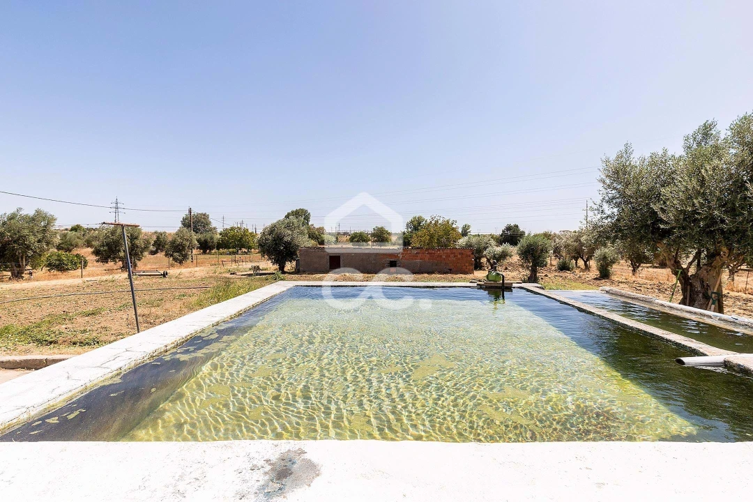 Quinta T4 para Venda em Malagueira e Horta das Figueiras Foto 37