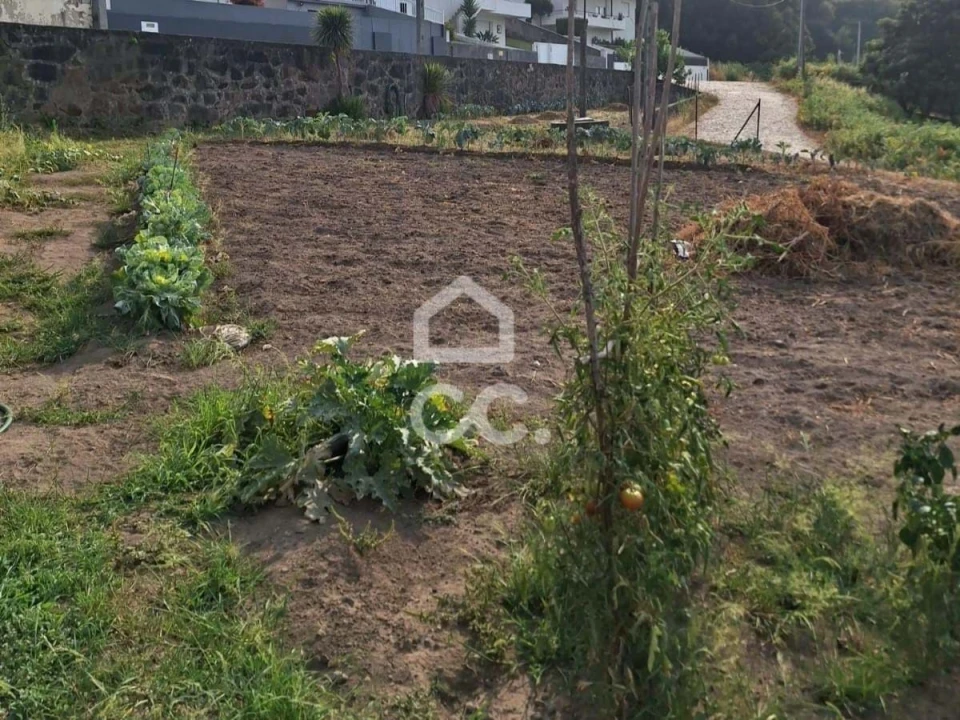 Terreno para Venda em Agrela Foto 23