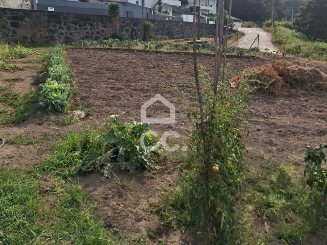 Terreno para Venda em Agrela Foto 23