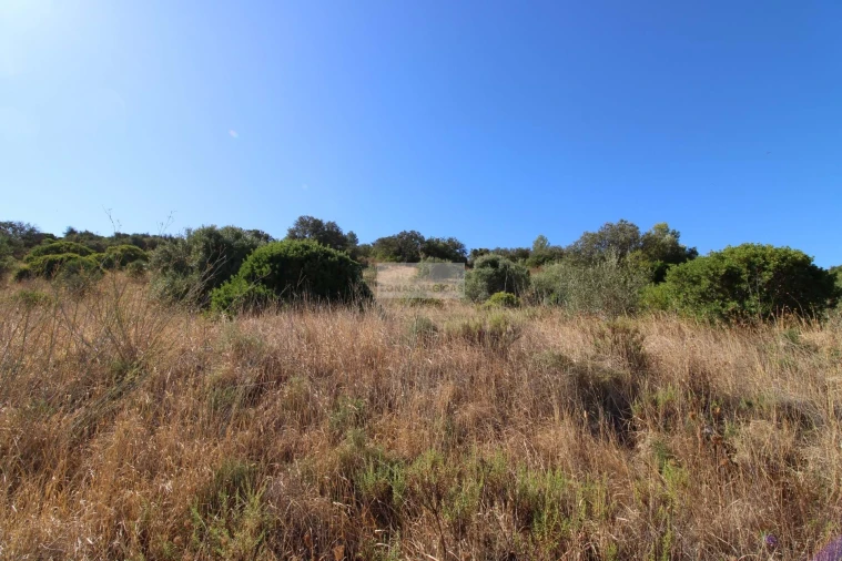 Terreno para Venda em Odiaxere Foto 3