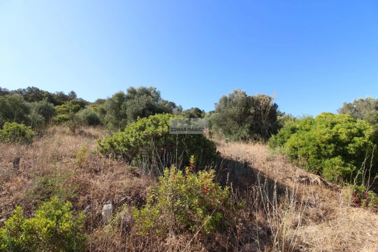 Terreno para Venda em Odiaxere Foto 1