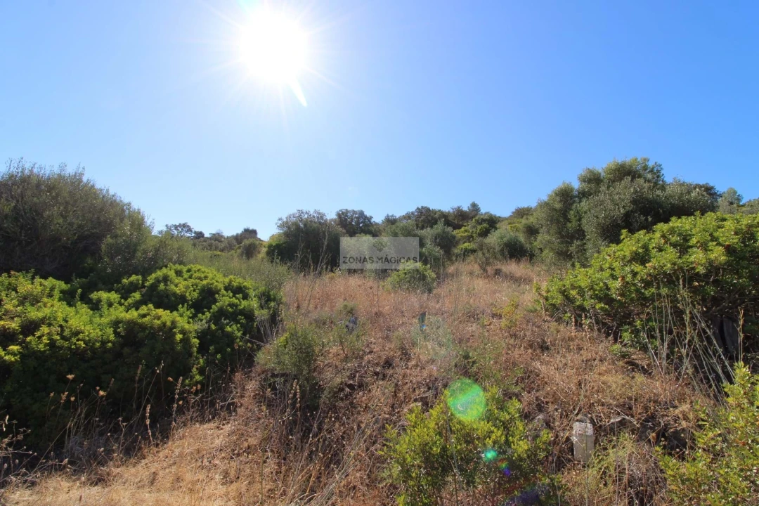 Terreno para Venda em Odiaxere Foto 2