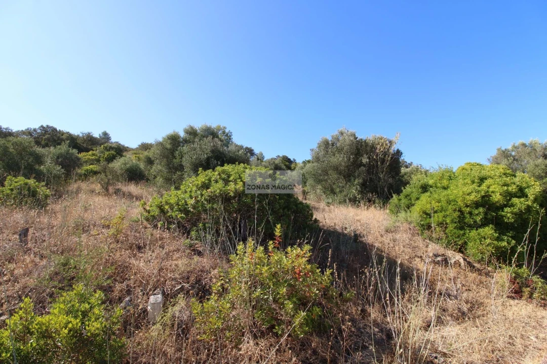 Terreno para Venda em Odiaxere Foto 1