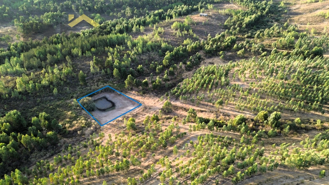 Quinta T0 para Venda em Ninho do Açor e Sobral do Campo Foto 13