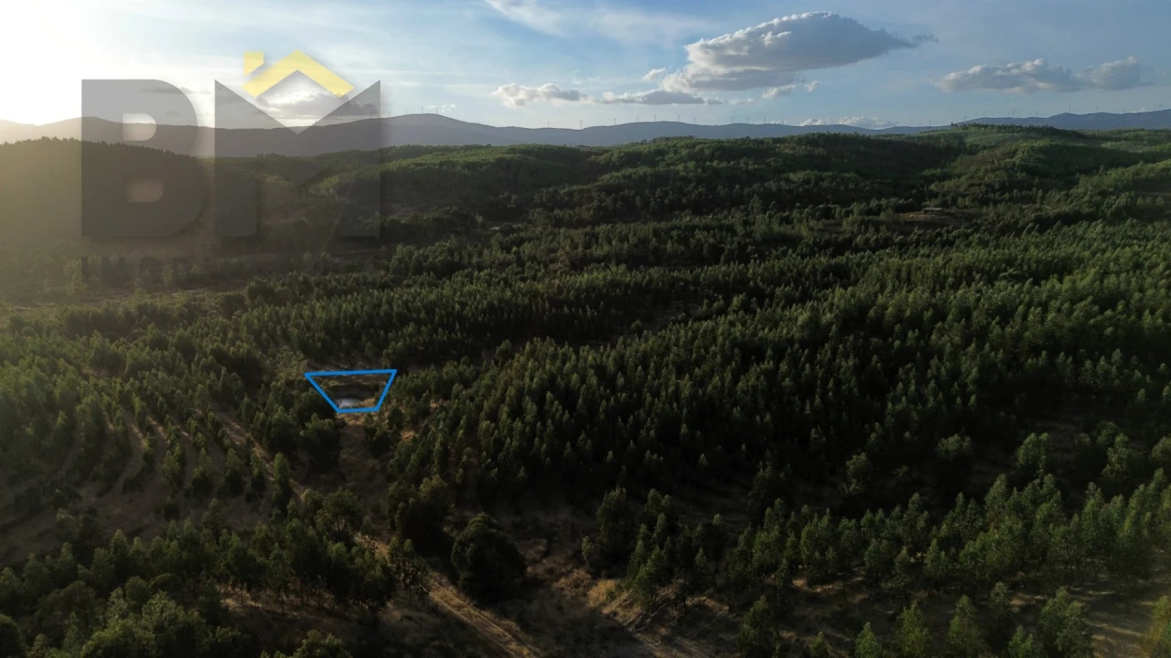 Quinta T0 para Venda em Ninho do Açor e Sobral do Campo Foto 6