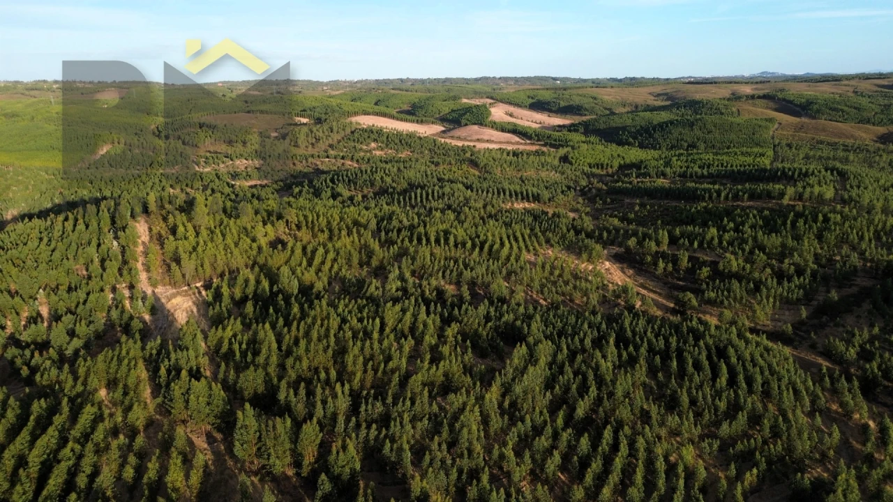 Quinta T0 para Venda em Ninho do Açor e Sobral do Campo Foto 7