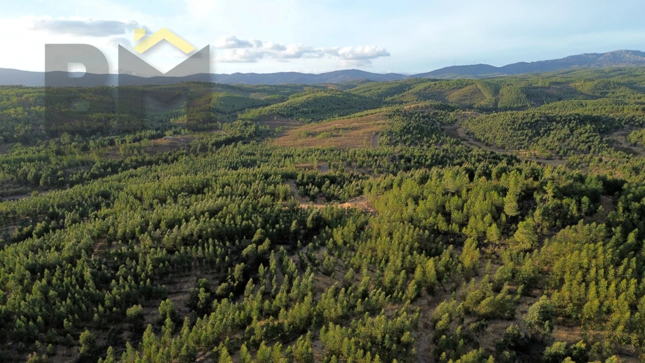 Quinta T0 para Venda em Ninho do Açor e Sobral do Campo Foto 9