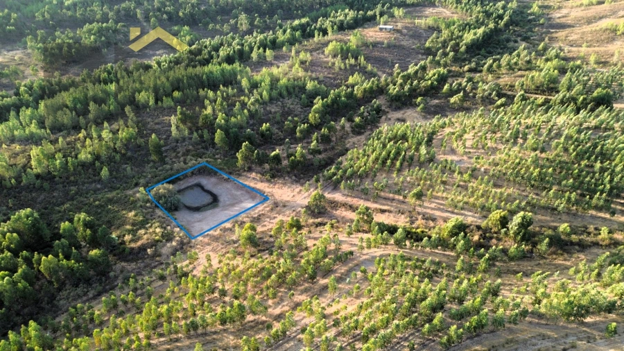 Quinta T0 para Venda em Ninho do Açor e Sobral do Campo Foto 13