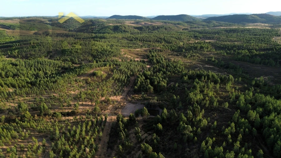 Quinta T0 para Venda em Ninho do Açor e Sobral do Campo Foto 12